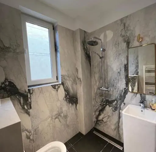 Old Fortress Exceptional Place Cosmanu * 蒂米什瓦拉