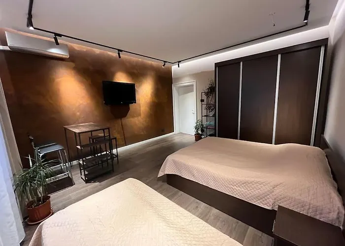 Old Fortress Exceptional Place Cosmanu טימישוארה